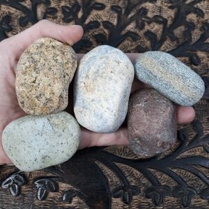 5 Maine Colorful Beach Rocks Raw Mineral Specimens Red Blue Green Yellow Gray
